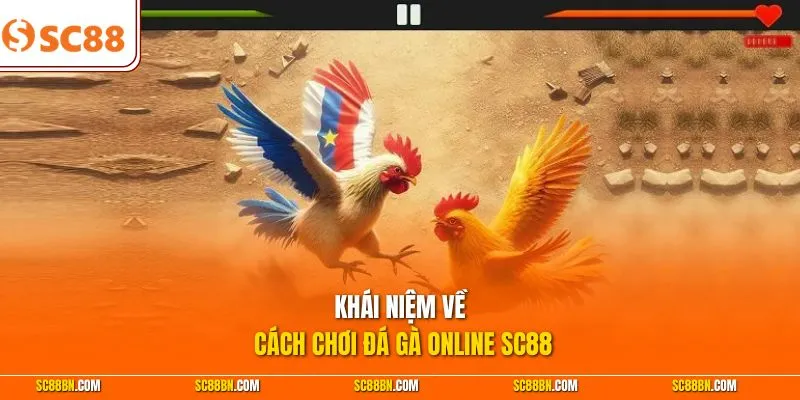Khái niệm về cách chơi đá gà online SC88